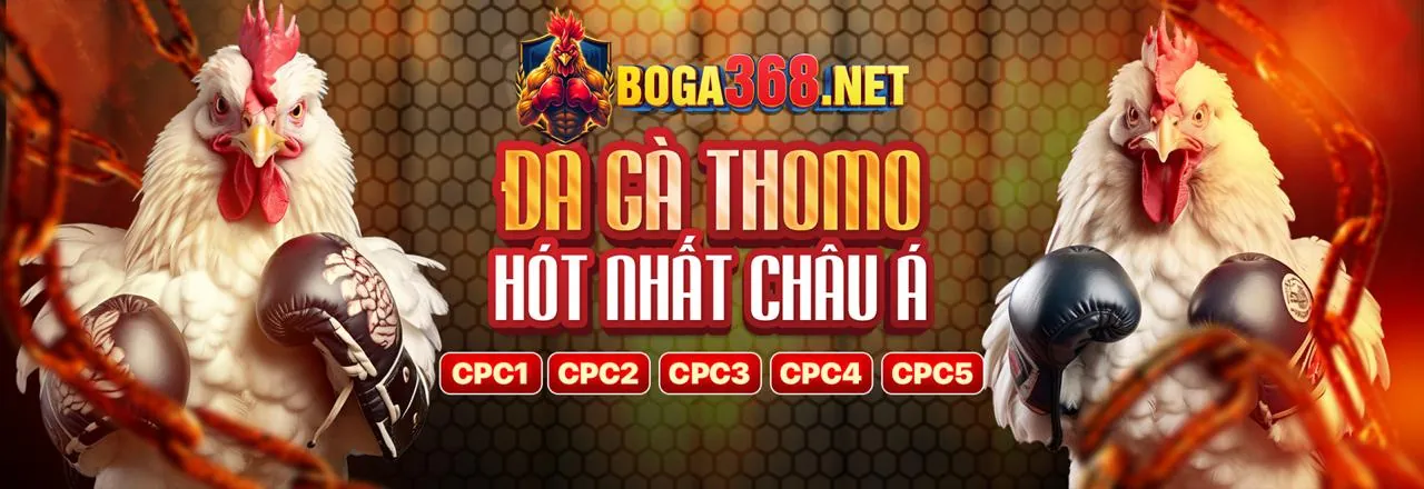 Nền tảng rw88 win 2026 với ưu điểm vượt trội