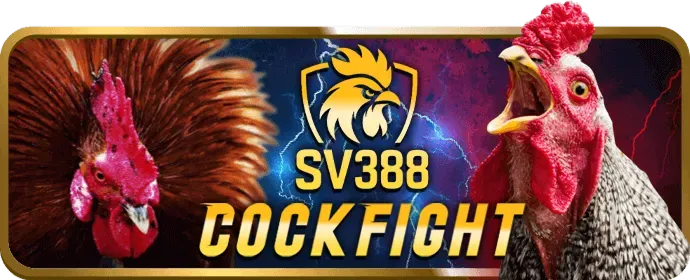 Khuyến Mãi Hấp Dẫn Dành Cho Thành Viên Mới tại rw88 win