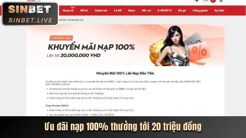 Điều kiện và điều khoản hoàn trả RW88 Win